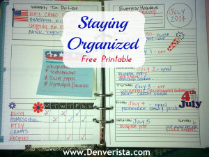 StayingOrganized